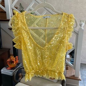 Zara Sequin Top
